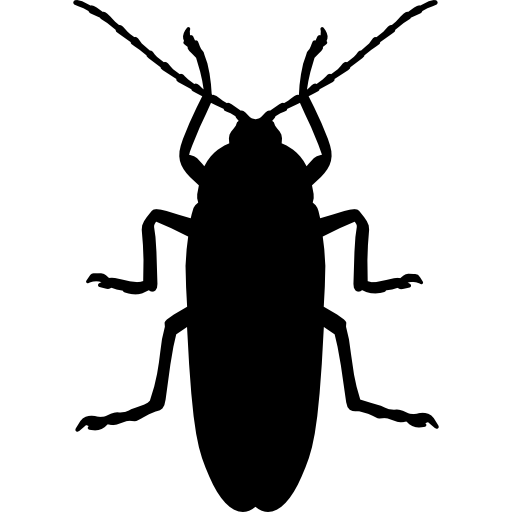 Insectos caminadores